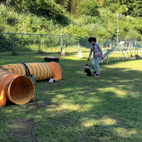 アジリティの練習会　第2回の画像