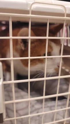 定期検診のご報告の記事動画