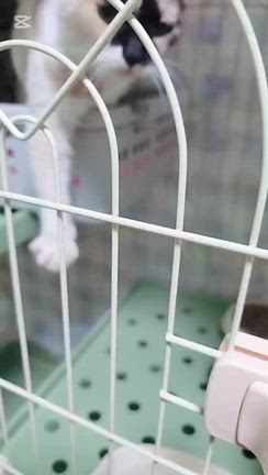 ごはんのご支援ありがとうございますの記事動画