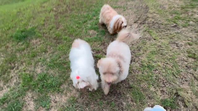 今日も朝から病院への記事動画