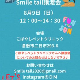8月のSmile tail譲渡会のお知らせの画像