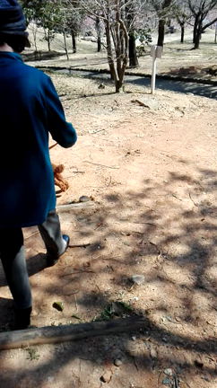 ぎょぎょランドにお散歩の記事動画