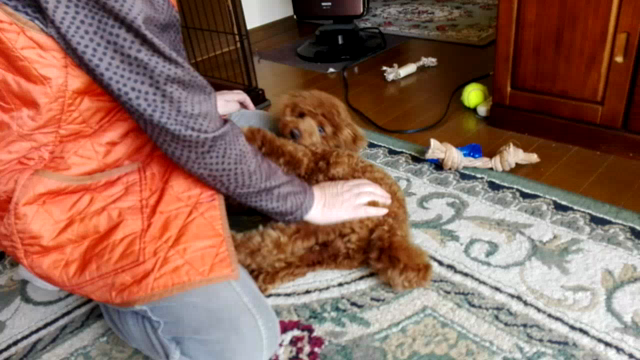 練習中の記事動画