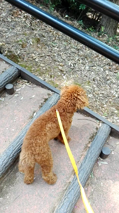 赤塚山公園 ぎょぎょランドの記事動画
