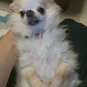 2019/09/24の画像