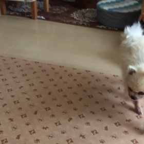 テッドのストレッチの画像
