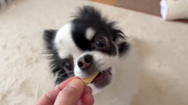 対照的な食べ方の記事動画