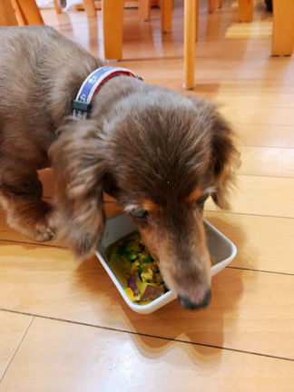 またまた低たんぱくごはん2品新登場の記事動画