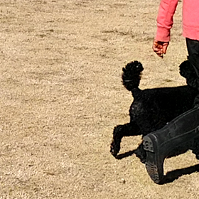 2021/01/12の画像