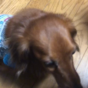 な、なんと！！の画像