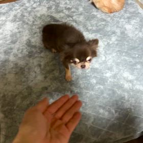 少しずつの画像
