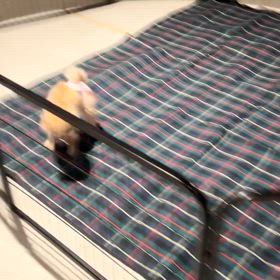 明日からのチャリティバザー、搬入終了の画像