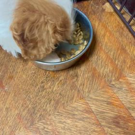 食べる生きることの画像