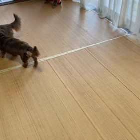 今日のリビングでの様子の画像