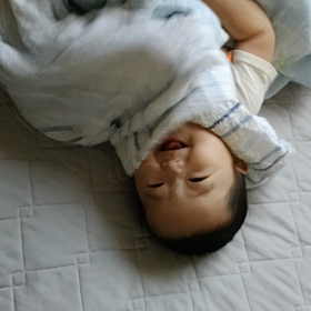 ミノムシの画像
