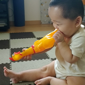 オモチャの画像