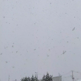 おはよ〜の画像
