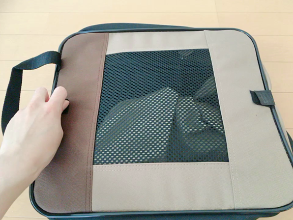 ミースケの避難訓練の記事動画