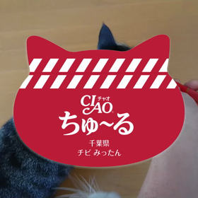 家の猫でちゅーるの宣伝が作れちゃう！の画像