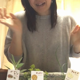 YouTubeデビューの画像