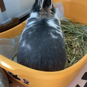 生きている…の画像