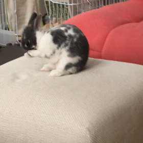 皆さまの画像