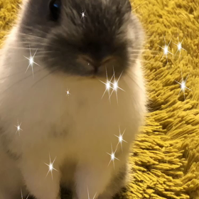 懐かしむの画像