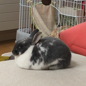 お口の画像