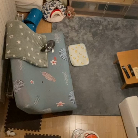 ハッスル動画の画像
