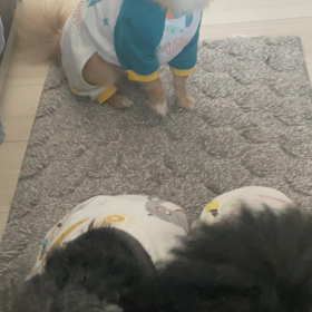 2024/01/25の画像
