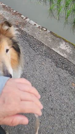 13歳0ヶ月の足どりの記事動画