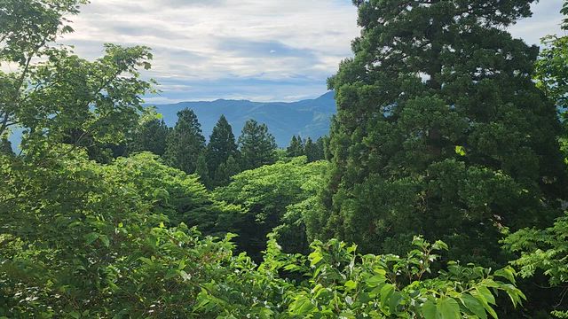 遠征の仲間／泊まった宿の記事動画