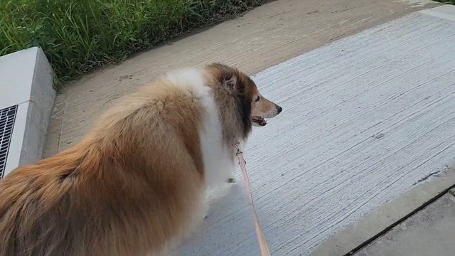 13歳0ヶ月の足どりの記事動画
