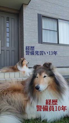 警備員と見習いの記事動画
