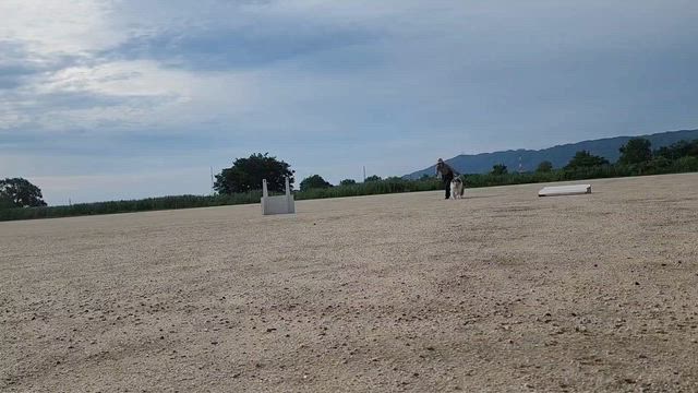 ニコと私の2026長野訓練競技会の記事動画