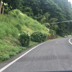 2020/06/16の画像