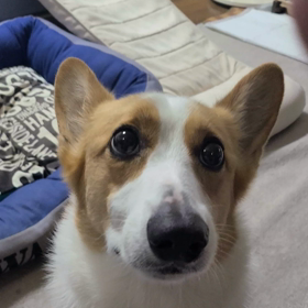更新出来ずの画像