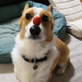 ごめんなさいの画像