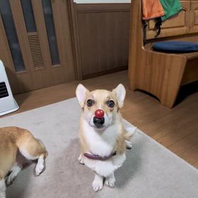 ミラクルの画像