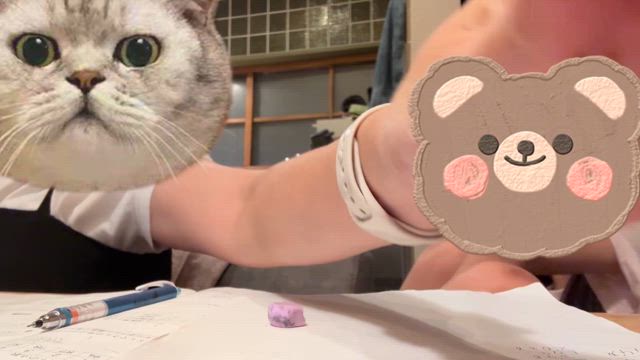 中2＆小5 夏期講習会を振り返ってみたの記事動画