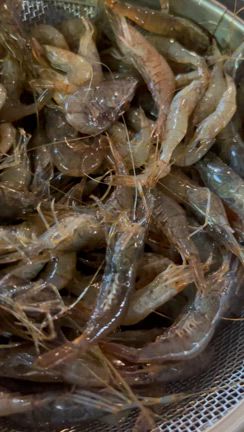 2024/04/30の記事動画