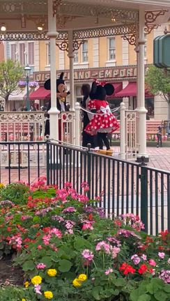 香港ディズニーランドの記事動画