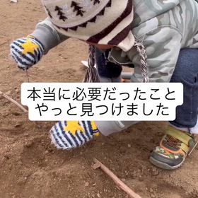 2025/11/24の画像