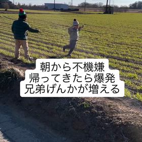 2025/11/04の画像