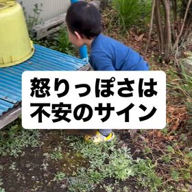 2025/11/28の画像