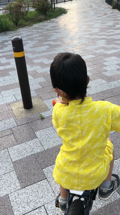 トーキングブルースの記事動画