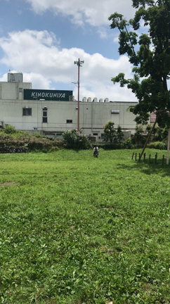 補助輪をはずすの記事動画