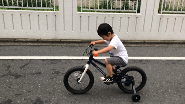 自転車が届いたの記事動画