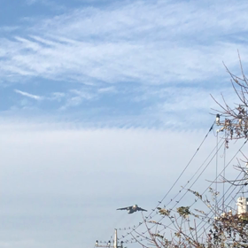 11月1日の画像