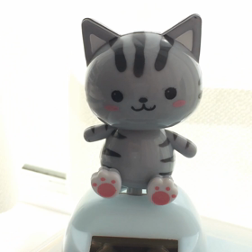 猫の画像